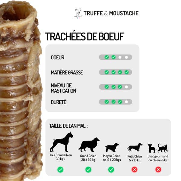 trachées de bœuf friandises chiens mastication naturelle