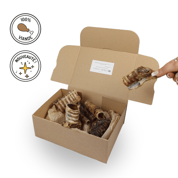 trachées de bœuf friandises chiens mastication naturelle