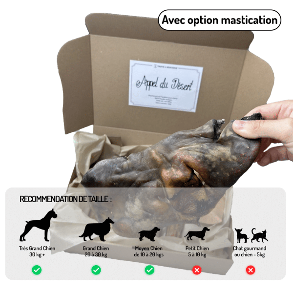 Coffret Appel du Désert friandises variées pour chiens chameau autruche kangourou