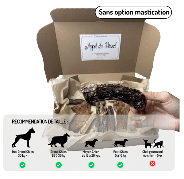 Coffret Appel du Désert friandises variées pour chiens chameau autruche kangourou