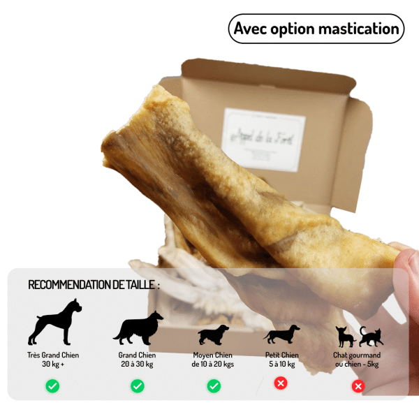 Coffret Appel de la forêt friandises variées pour chiens lapin sanglier renne