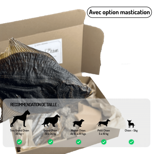 Coffret Appel de l'océan friandises variées pour chiens et chats poisson moules crevette calamar
