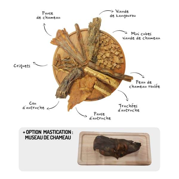 Coffret Appel du Désert friandises variées pour chiens chameau autruche kangourou