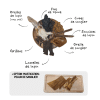 Coffret Appel de la forêt friandises variées pour chiens lapin sanglier renne